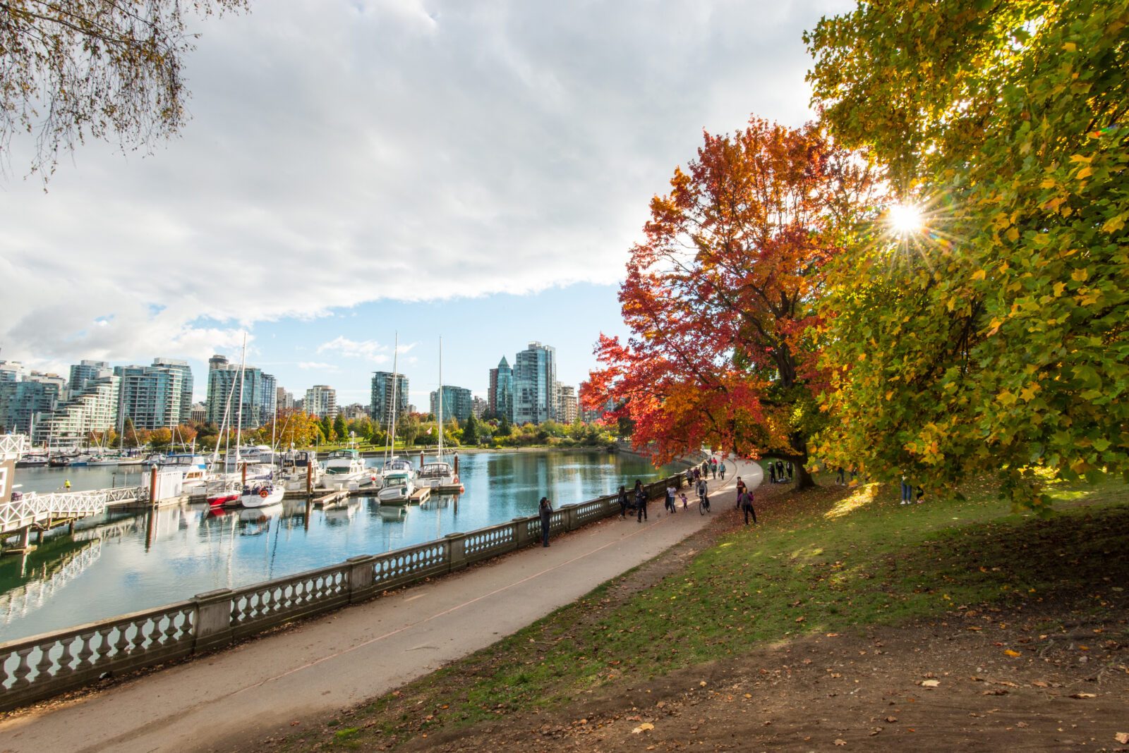 A fall day on Stanley park Vancouver Canada