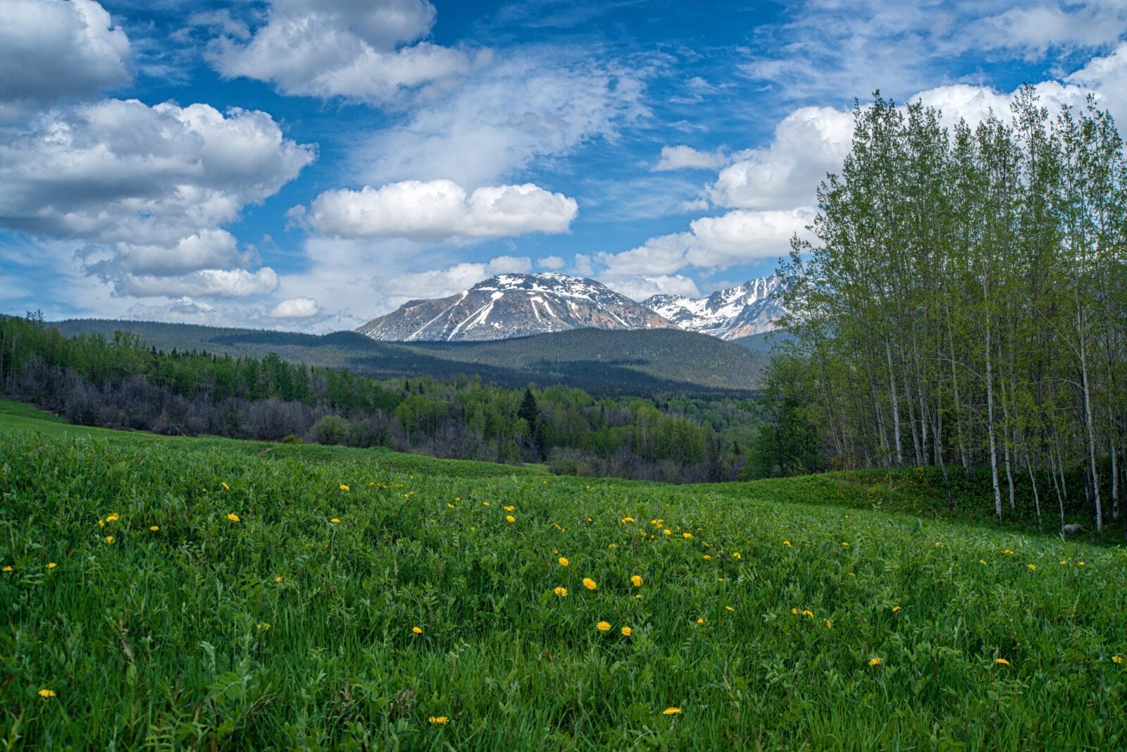 Babine Mountain Recreation Area - Smithers BC Canada