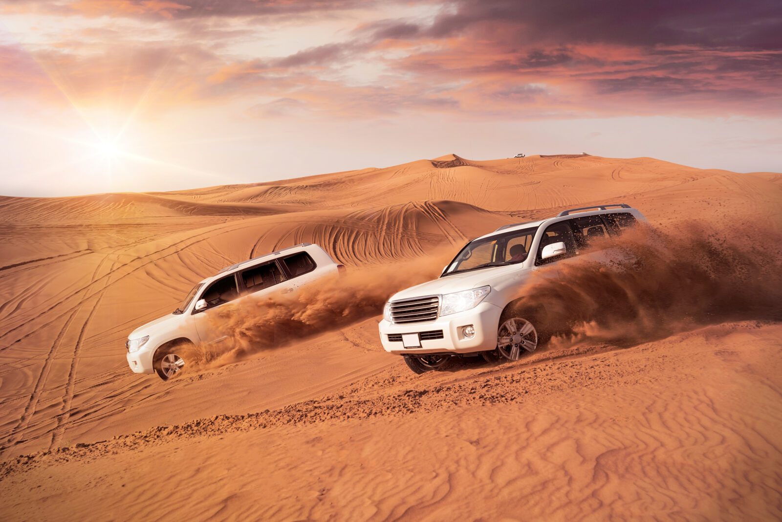 Desert Dune Bashing