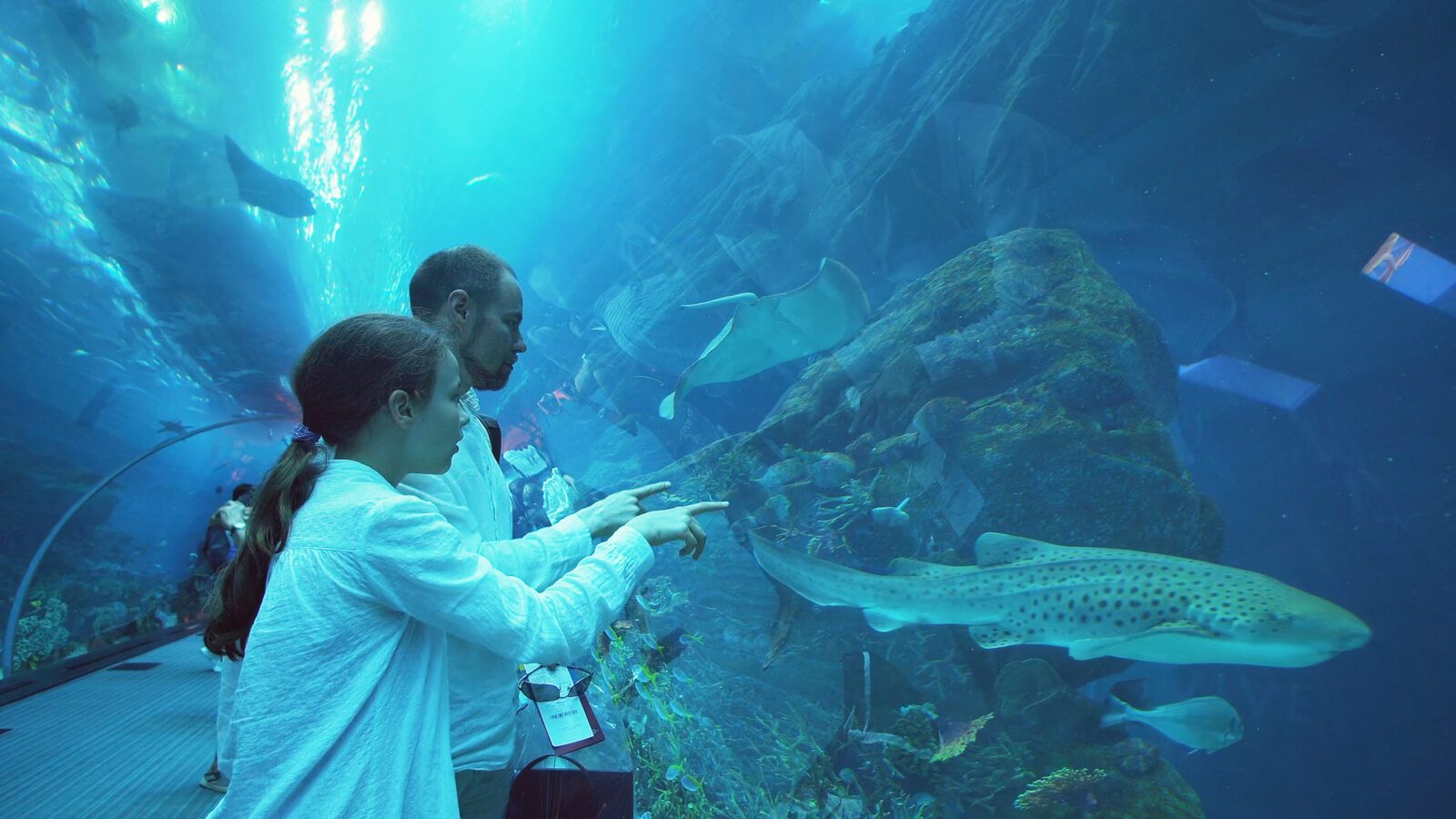 Teenage girl with Dad amusingly watching the fish in Aquarium